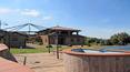 Toscana Immobiliare - pool with half-moon shaped jacuzzi, piscina con idromassaggio a mezzaluna Montepulciano