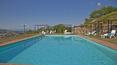 Toscana Immobiliare - amazing pool with panoramic views