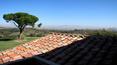 Toscana Immobiliare - panoramic spot near Torrita di Siena