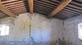 Toscana Immobiliare - country house to restored on sale Torrita di Siena