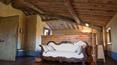Toscana Immobiliare - 6 rooms with six bathrooms