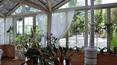 Toscana Immobiliare - bright covered veranda
