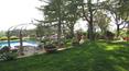 Toscana Immobiliare - large manicured park with timber trees