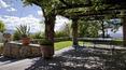 Toscana Immobiliare - A gorgeous arbor leads to the pool with relax area