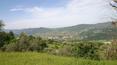 Toscana Immobiliare - armhouse to be restored for sale surrounded by fields and meadows in Rufina