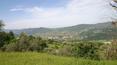 Toscana Immobiliare - Prestigiosa proprietà del XIV secolo in vendita in Toscana