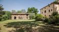Toscana Immobiliare -  two stone outbuildings