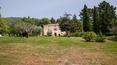Toscana Immobiliare - The estate is composed of one completely restored manor of about 800 square meters