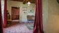 Toscana Immobiliare - The main villa is on three levels and provides a total of 6 bedrooms