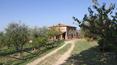 Toscana Immobiliare - In Bucine close to Florence and Arezzo nice house in panoramic position