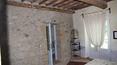 Toscana Immobiliare - Casale con terreni e vigneto in vendita a Montalcino, Siena