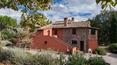 Toscana Immobiliare - Great holiday farm for sale in Umbria