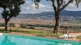 Toscana Immobiliare - Holiday farm with two country houses and two swimming pools