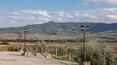 Toscana Immobiliare - Hill top position and private plots