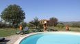 Toscana Immobiliare - In the garden there is also a beautiful pool in landscaped position.