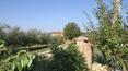 Toscana Immobiliare - The house is set within a well-tended garden with flowerbeds and verdant meadows