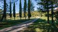 Toscana Immobiliare - the land stretches over about 2 ha