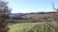 Toscana Immobiliare - panoramic view form the house to be restored Val\`Orcia with 70 he land on sale