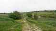 Toscana Immobiliare - path to the house to be restored Val\`Orcia with 70 he land on sale