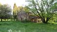 Toscana Immobiliare - The territory
