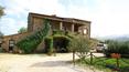 Toscana Immobiliare - The villa`s yard