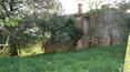 Toscana Immobiliare - The house