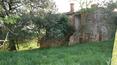 Toscana Immobiliare - The house