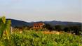 Toscana Immobiliare - Panoramic view