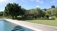 Toscana Immobiliare - Luxury villa for sale in the Tuscan sea