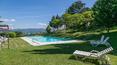 Toscana Immobiliare - swimming pool in panoramic positio