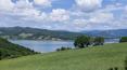 Toscana Immobiliare - Lago di Montedoglio
