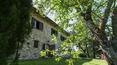 Toscana Immobiliare - stone house divided into 5 apartments