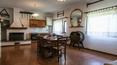Toscana Immobiliare - stone house divided into 5 apartments