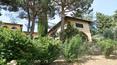 Toscana Immobiliare - At only 16 km from the sea farm for tourist receptive