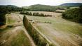 Toscana Immobiliare - Estate for sale in Tuscany with 100 hectares of land and hunting land