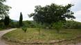 Toscana Immobiliare - large estate with 100 he of land and hunting land
