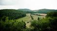 Toscana Immobiliare - In vendita Azienda agricola di 100 ettari con casali, allevamento di cavalli, terreno seminativo oliveto