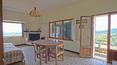 Toscana Immobiliare - For sale 100 hectare farm with farmhouses, horse breeding, arable land with olive trees