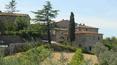 Toscana Immobiliare - aziende agricole chianti