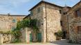 Toscana Immobiliare - vine farms chianti