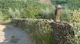 Toscana Immobiliare - chianti real estate