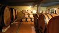 Toscana Immobiliare - vine business chianti