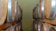 Toscana Immobiliare - The company has certificates D.O.C.G. Chianti Classico for 9 he and I.G.T. Supertuscan for 3 he; the production line include salso Vinsanto, three types of grappa and extravergine oil.