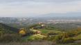 Toscana Immobiliare - Estate for sale in Tuscany with 100 hectares of land and hunting land