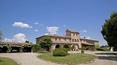 Toscana Immobiliare - Tuscany farm with vineyards for sale in Torrita di Siena