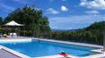 Toscana Immobiliare - Swimming pool of the villa for sale in Anghiari