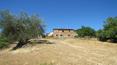 Toscana Immobiliare - panorama del casale toscano con uliveto di proprietà e vista sulla val di chiana