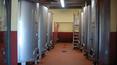 Toscana Immobiliare - cellar