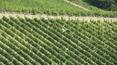 Toscana Immobiliare - This large farm is located in the fascinating scenario of Chianti