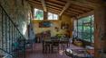 Toscana Immobiliare - limonaia country house for sale near siena with limonaia and swimming pool